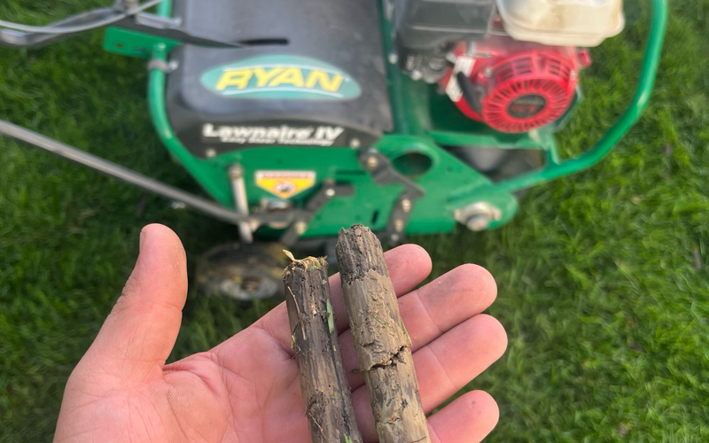 Aerating and Over Seeding!